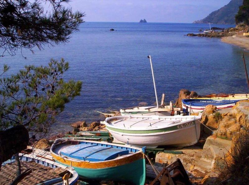 Homestay Et Salle De Bain Independantes A 200m De La De Fabregas La Seyne-sur-Mer