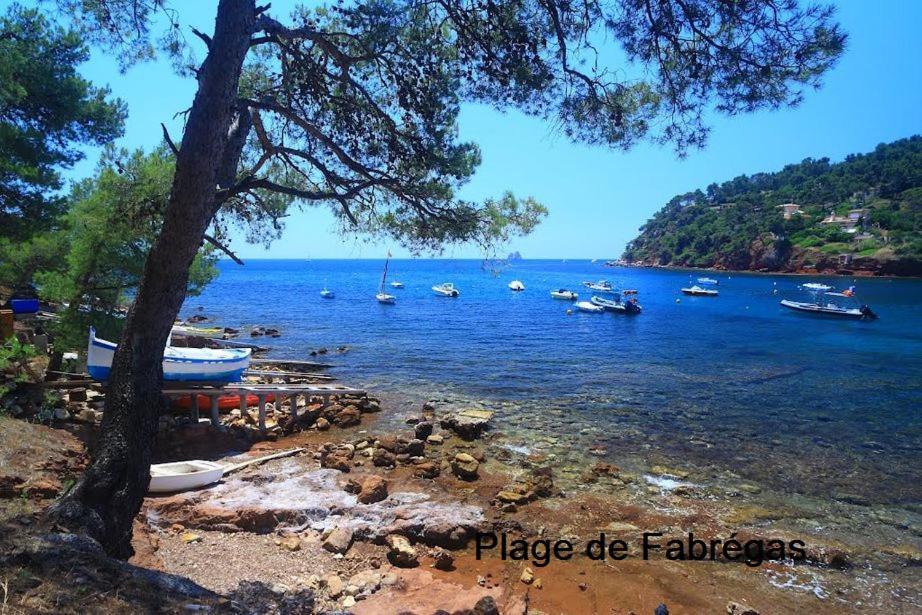 Et Salle De Bain Independantes A 200m De La De Fabregas Homestay La Seyne-sur-Mer